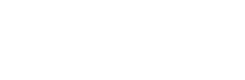 logodeluxeokwhite